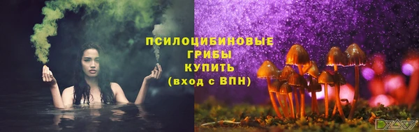 ГАЛЛЮЦИНОГЕННЫЕ ГРИБЫ Балабаново