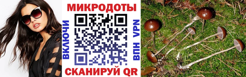 Псилоцибиновые грибы MAGIC MUSHROOMS  ОМГ ОМГ вход  Бирюсинск 